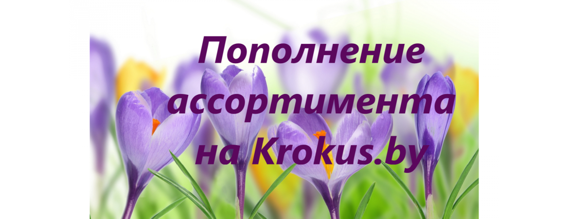Отличная новость для Вас! Отличная новость для Вас!