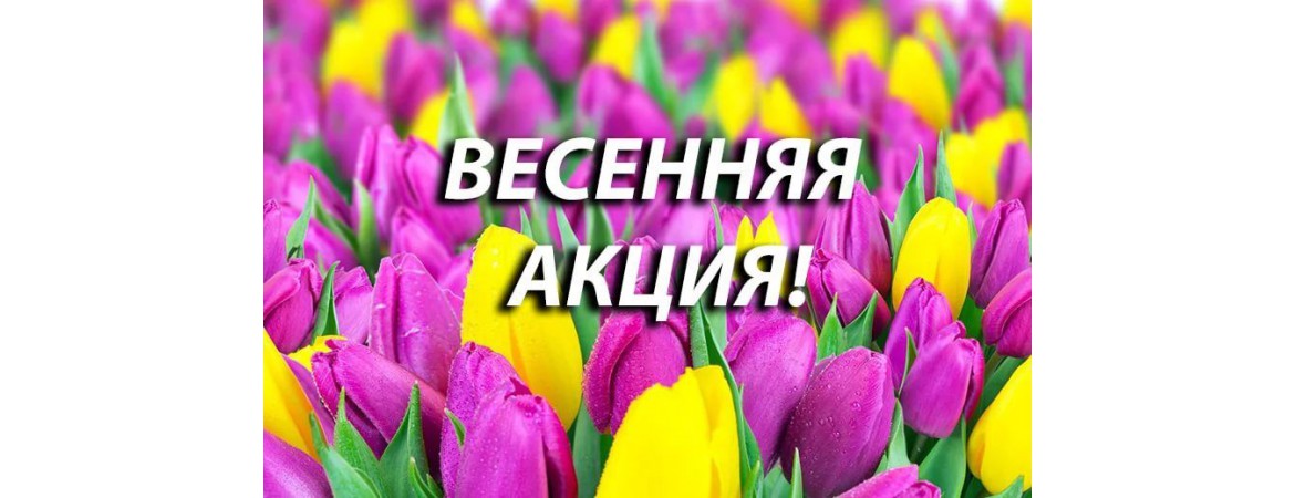 Дорогие Друзья! Дорогие Друзья!