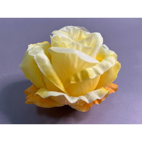 Бутон большой "Эквадор" 100