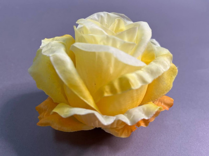 Бутон большой "Эквадор" 100