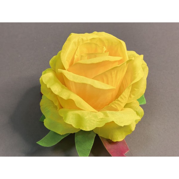 Бутон большой "Эквадор" 100