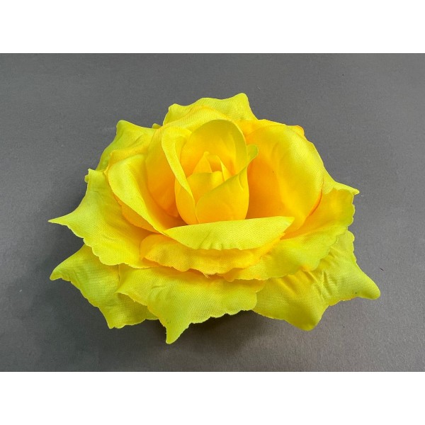 Роза "Мадлен" 101