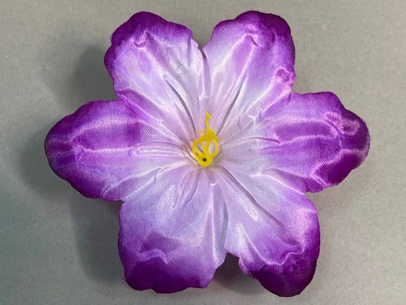 Клематис большой атласный  105 (с комплектом тычинок) 