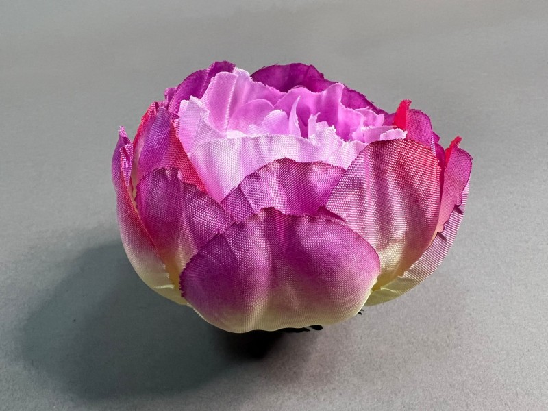 Пион декоративный 131