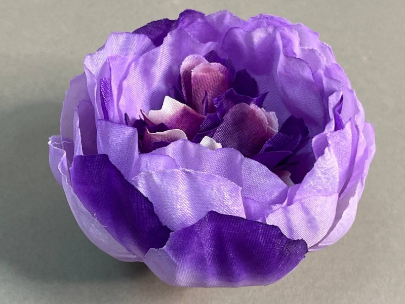 Пион декоративный 131