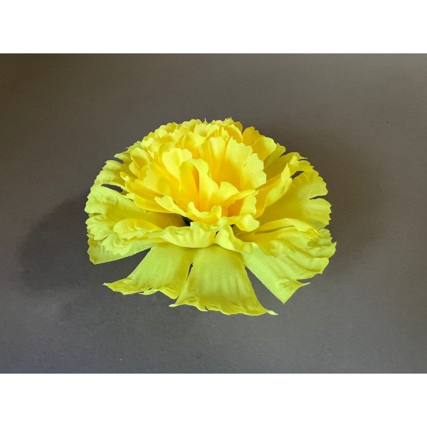 Гвоздика средняя 13