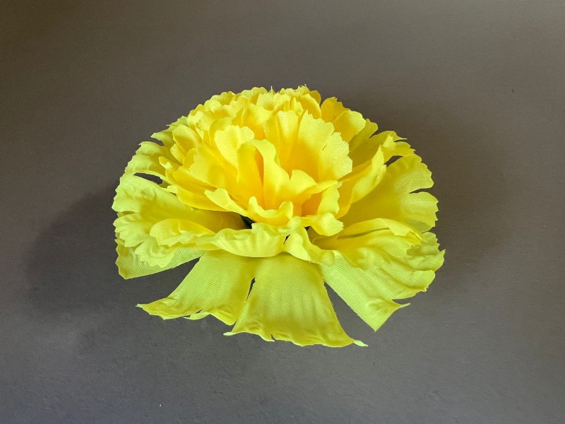 Гвоздика средняя 13