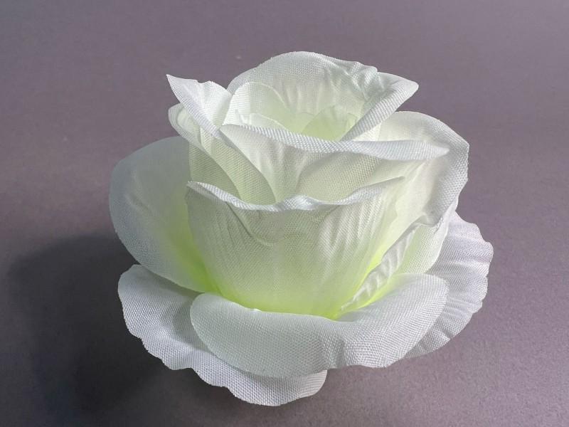 Роза Селена 151