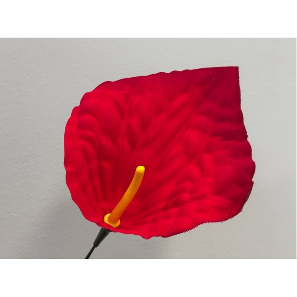 Антуриум большой бархат 200 (С КОМПЛЕКТОМ ТЫЧИНОК)