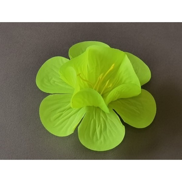 Мальва малая 2/1 (С КОМПЛЕКТОМ ТЫЧИНОК)