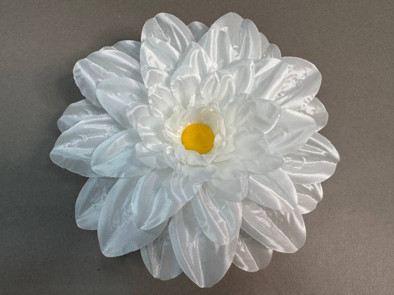 Ромашка огромная 36