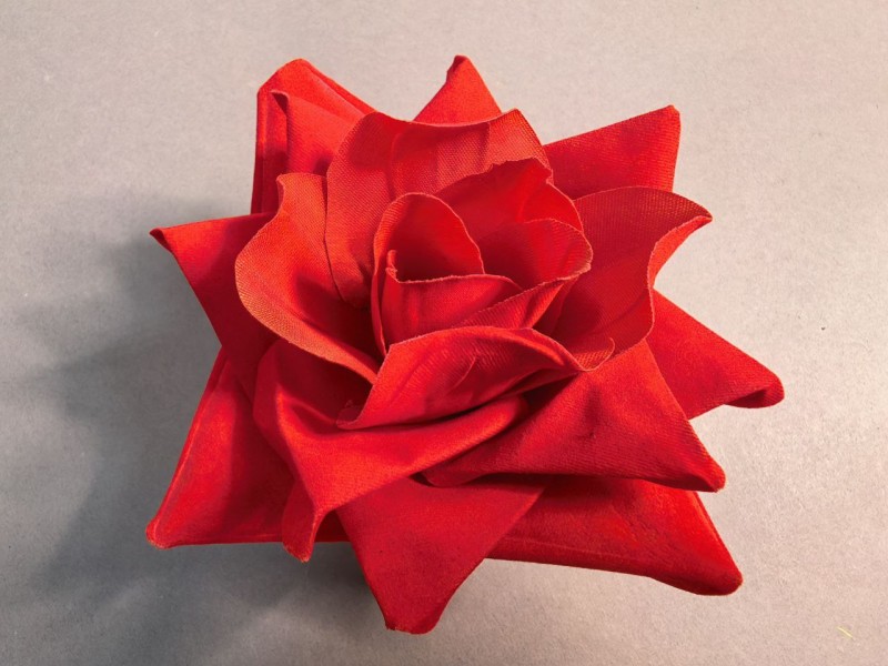 Роза бархат 503/1