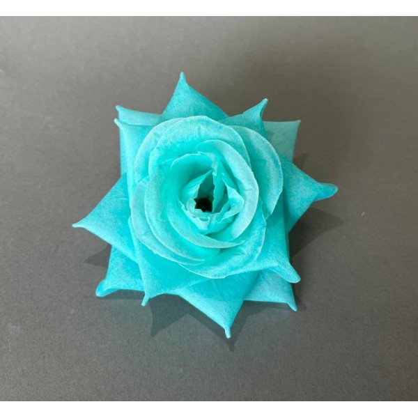 Роза острая средняя 55