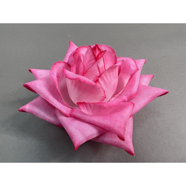 Роза Острая 58