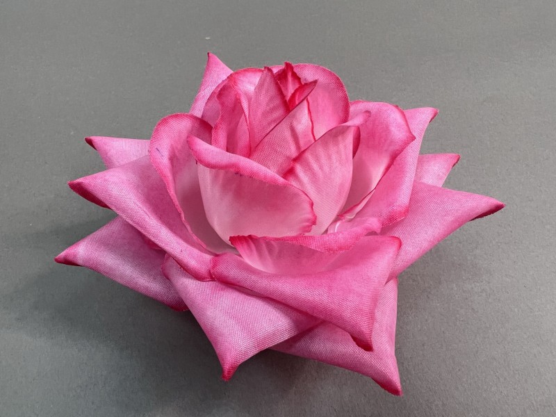 Роза Острая 58