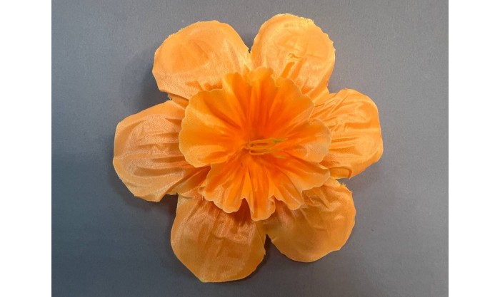 Нарцисс большой атласный 6/5 