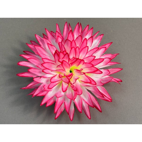 Астра "Вилора" 79