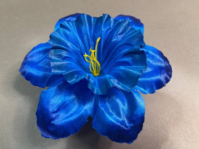 Нарцисс малый атласный 7