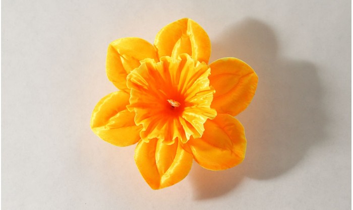 Нарцисс малый атласный 7/5