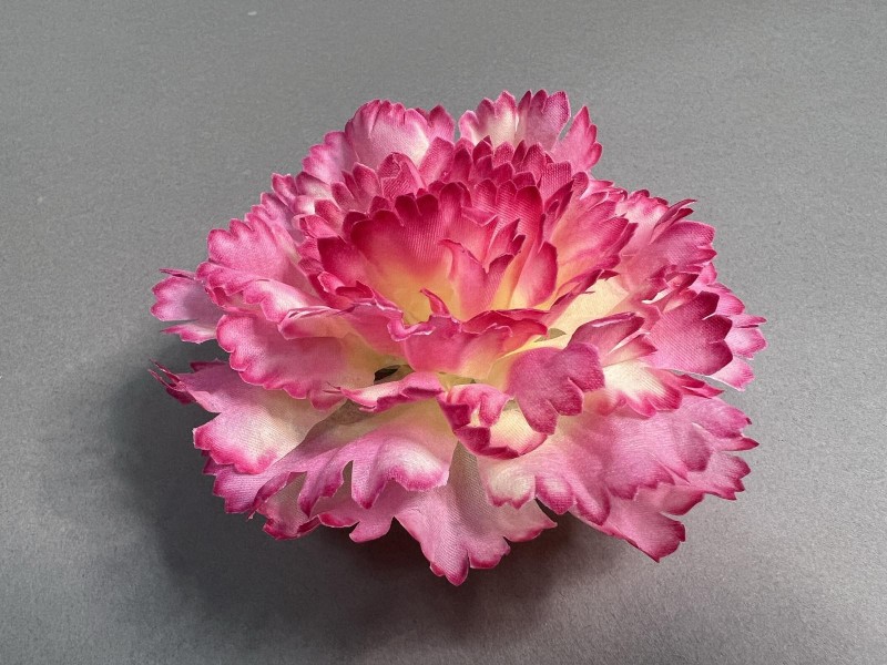 Гвоздика Аврора 87