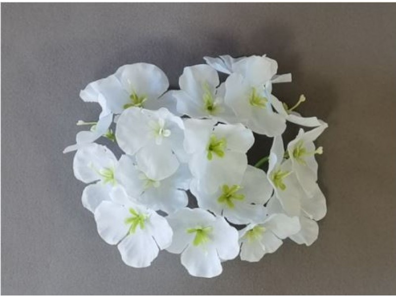 Гортензия 618/1