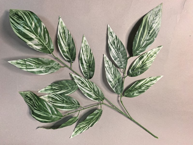 Ветка Манго ритуальная большая ЛВ1