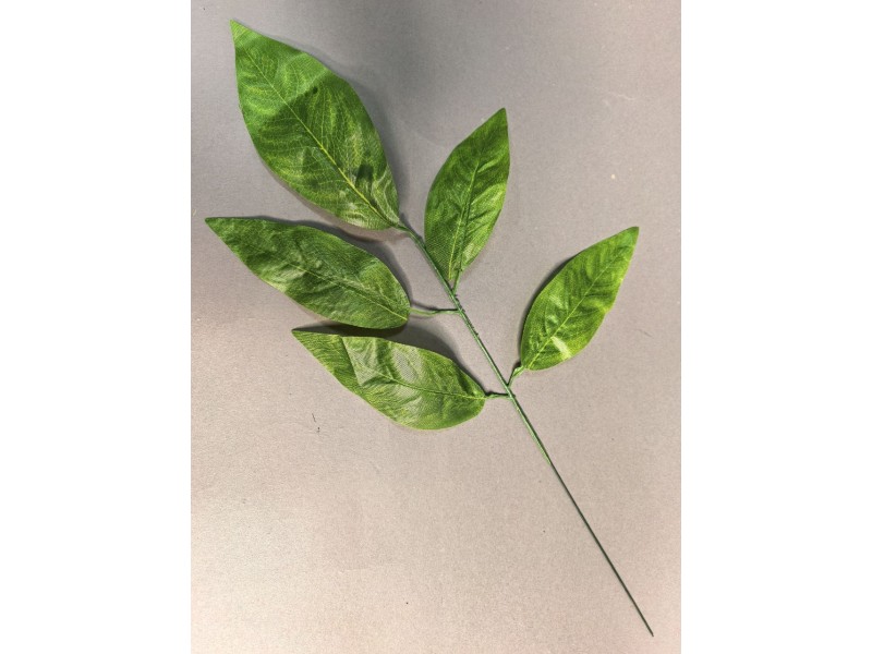 Лист Манго 5-ка светлый Л111