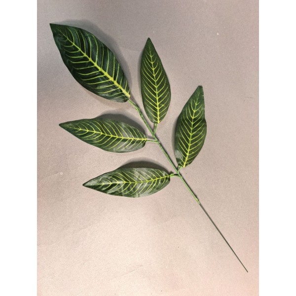 Лист Манго ритуальный 5-ка с прожилками Л120