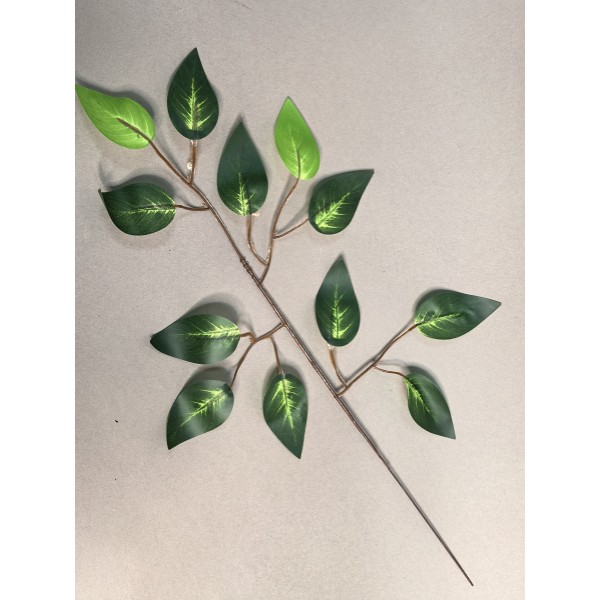 Ветка ритуальная фикуса двухцветная с прожилками одиночная ЛВ106