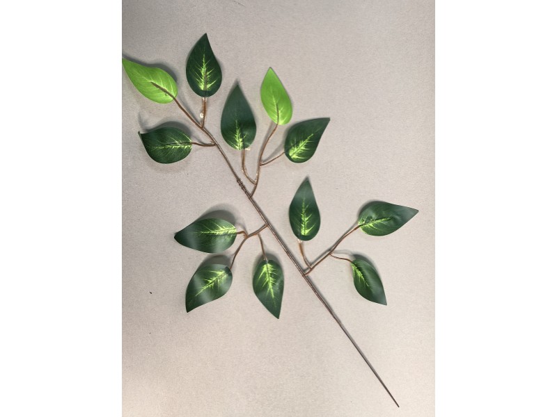 Ветка ритуальная фикуса двухцветная с прожилками одиночная ЛВ106