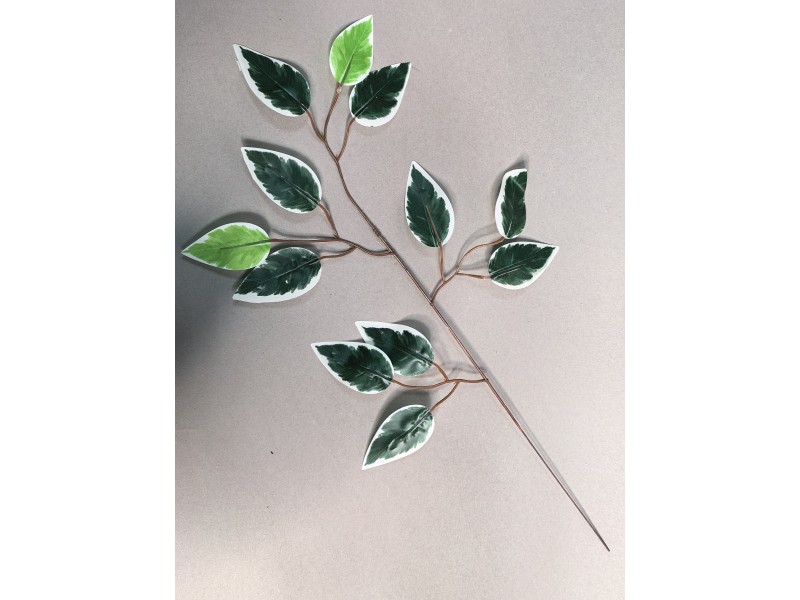 Ветка ритуальная фикуса с белым кантом одиночная ЛВ107