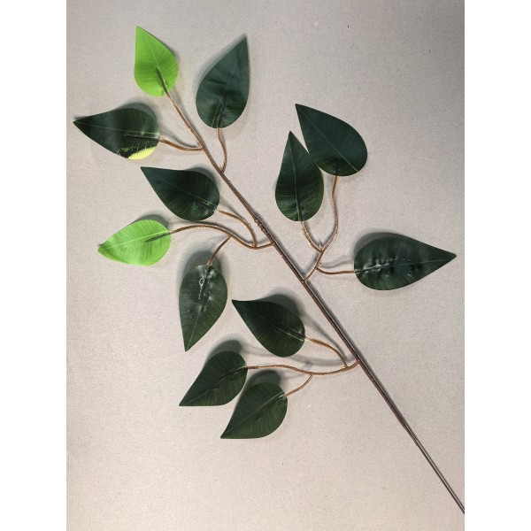 Ветка ритуальная фикуса двухцветная одиночная ЛВ108