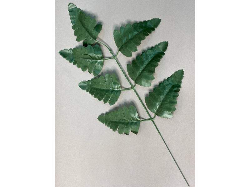 Папоротник 7ка тёмно-зелёный (лист ритуальный) Л21/1