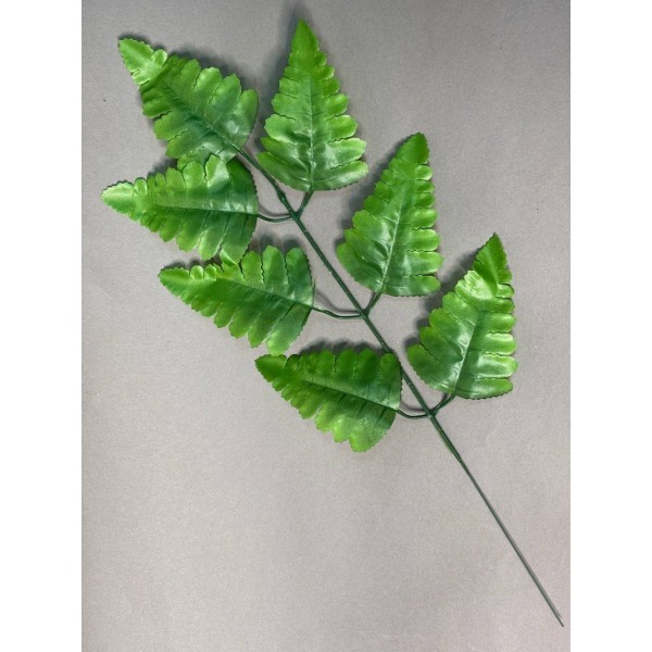 Папоротник 7ка двухцветный (лист ритуальный) Л21/2