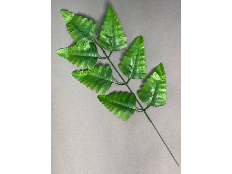 Папоротник 7ка двухцветный (лист ритуальный) Л21/2