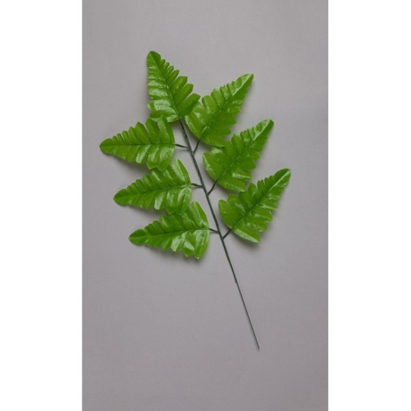 Папоротник 7-ка  светлый (лист ритуальный) Л21