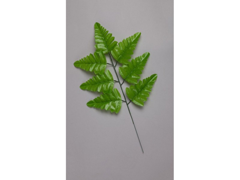 Папоротник 7-ка  светлый (лист ритуальный) Л21