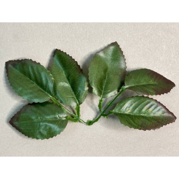 64.123 Лист розы 6-ка с коричневым кантом