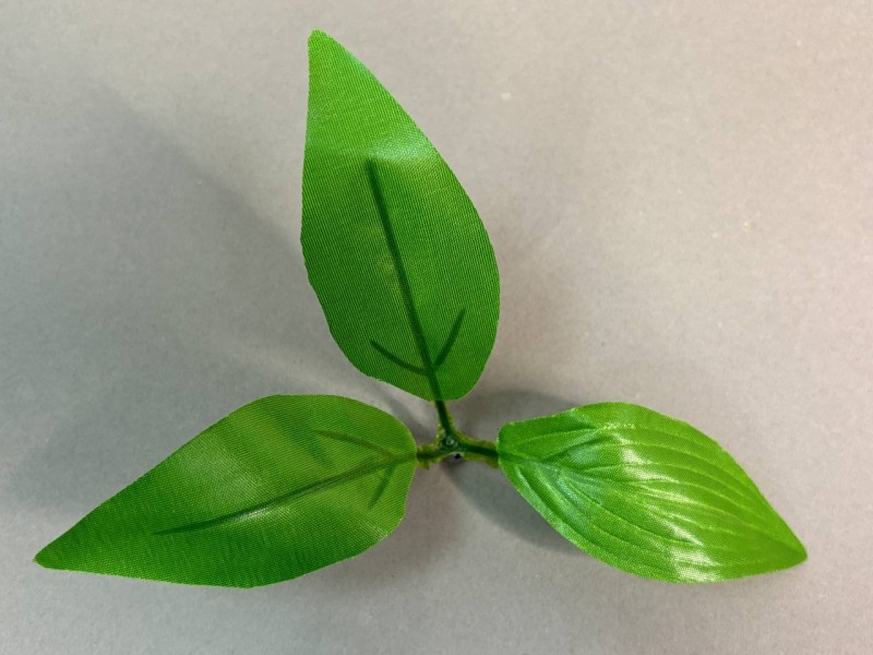 64.220 Лист лилии 3-ка светлый