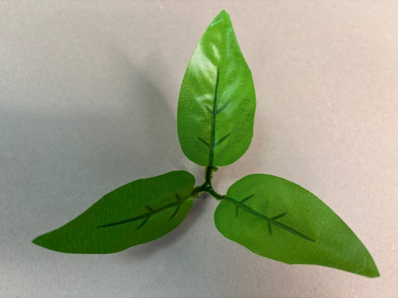 64.240 Лист тройной малый светлый