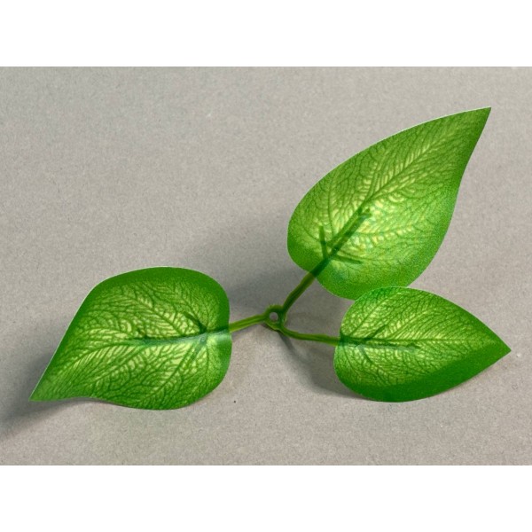 64.261 Лист эпипремнума 3ка светлый малый