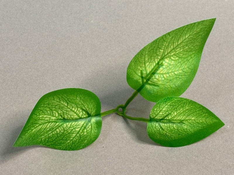 64.261 Лист эпипремнума 3ка светлый малый