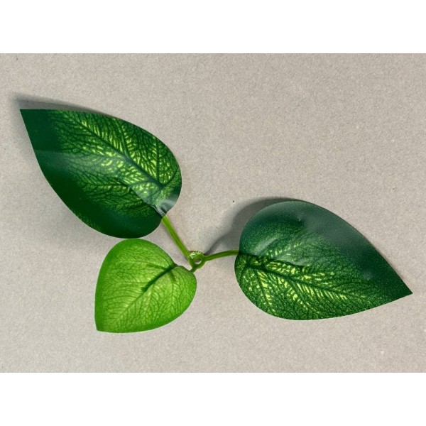 64.262 Лист эпипремнума 3ка темный малый