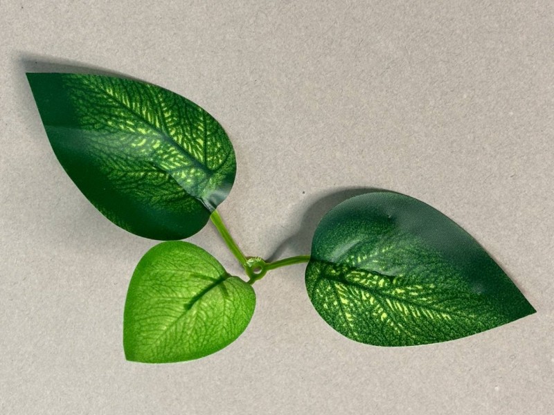 64.262 Лист эпипремнума 3ка темный малый