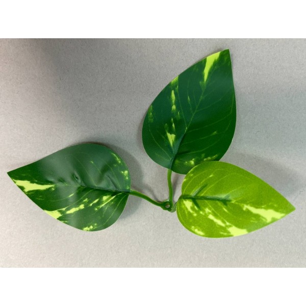 64.263 Лист эпипремнума 3ка пестрый малый