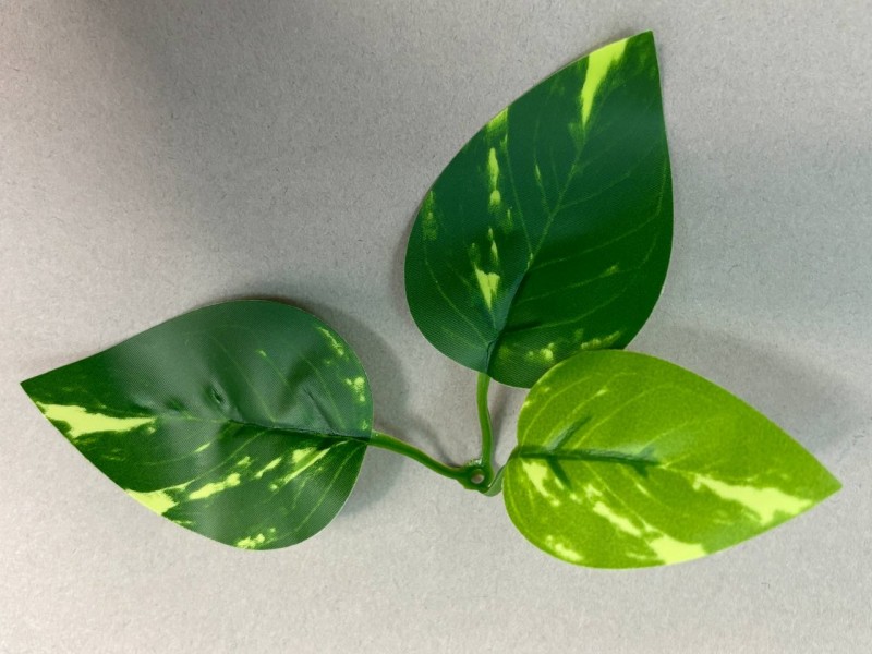 64.263 Лист эпипремнума 3ка пестрый малый