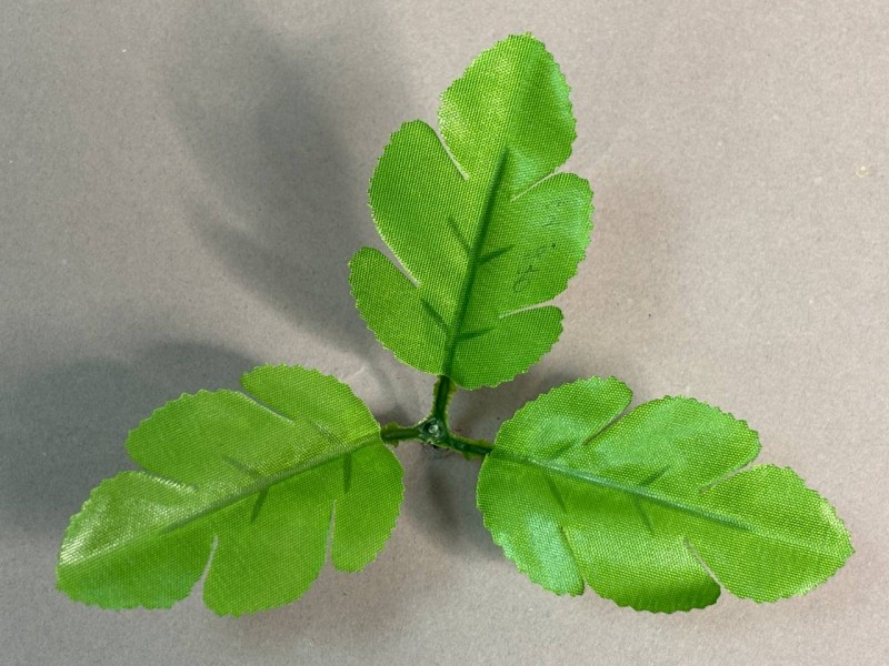 64.270 Лист хризантемы ритуальный 3ка светлый