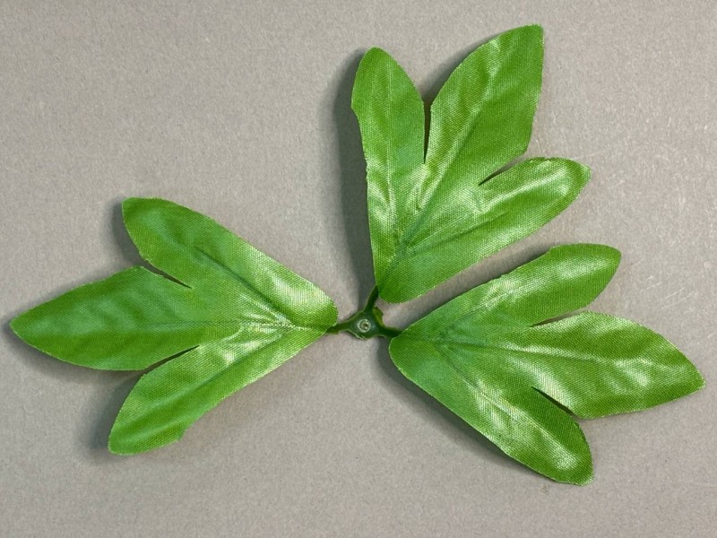 64.310 Лист острый малый светлый