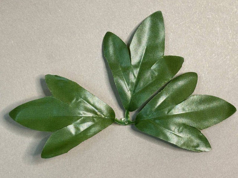 64.311 Лист острый малый темный