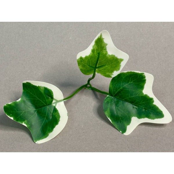 64.984 Лист плюща 3ка со светлым кантом